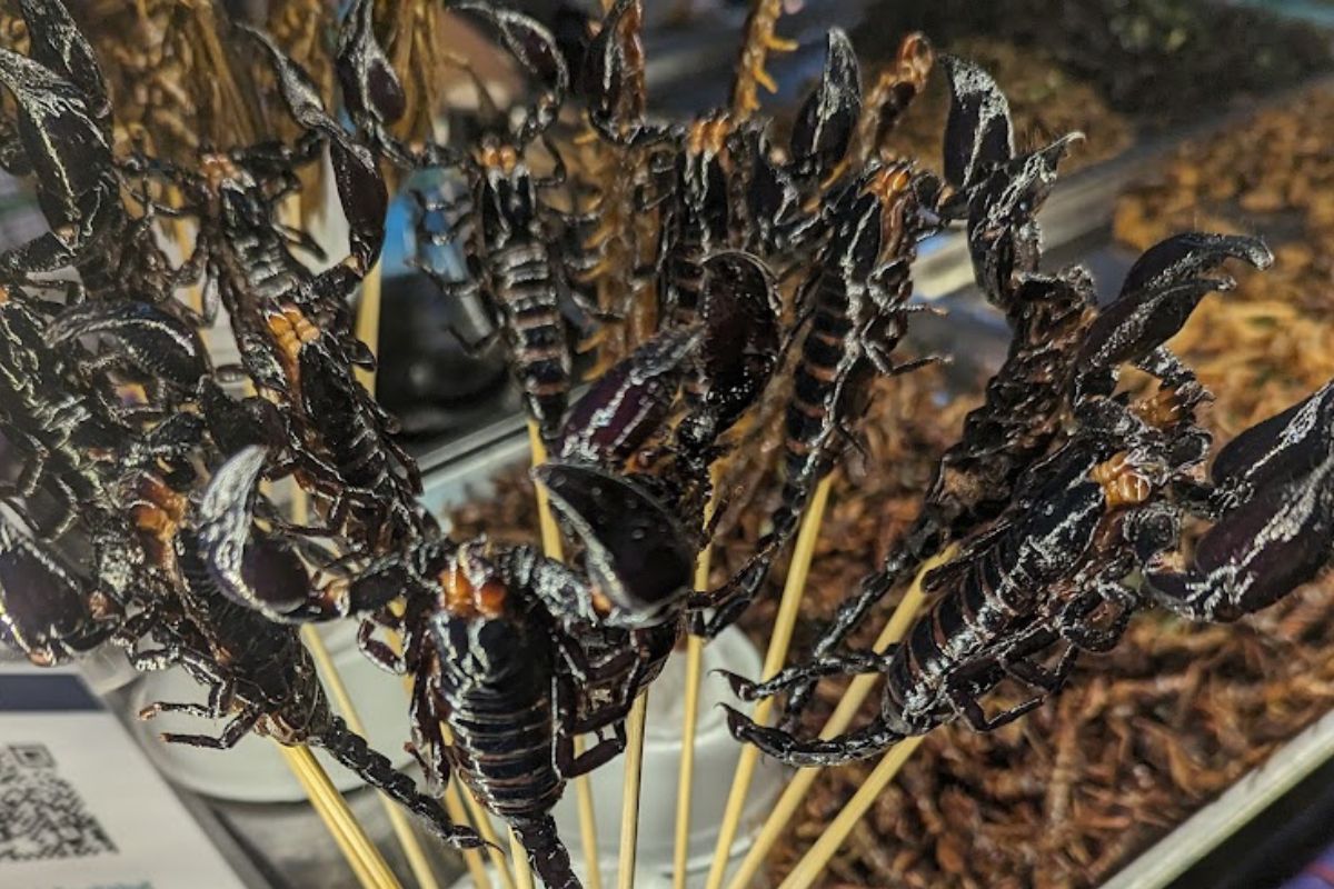 Scorpions sold on Yaowarat Road in Bangkok