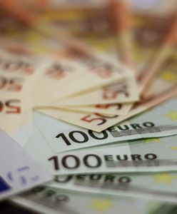 Rekordowy wkład Niemiec do budżetu UE. Polska korzysta najbardziej