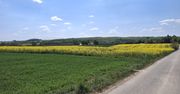 Bukowiany. Malownicza wieś w powiecie opatowskim, gdzie historia zaczyna się od lasu bukowego