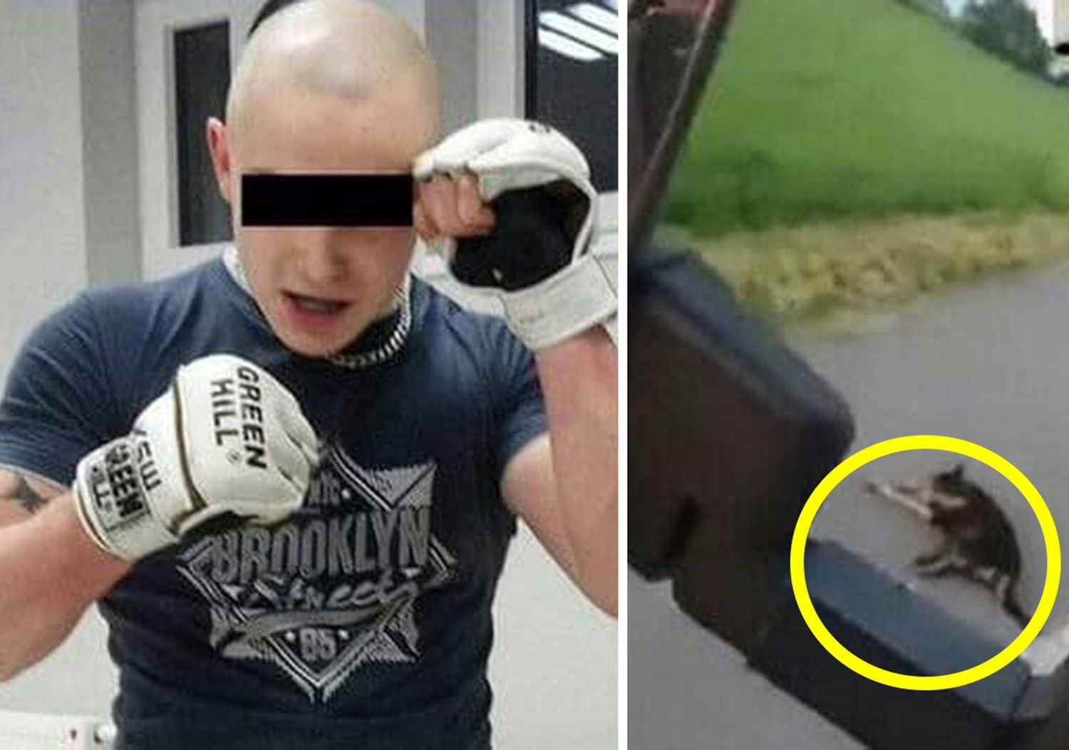 Kilka razy przejechał po psie. Sąd zmienił wyrok Rafała B. po bestialskiej zbrodni