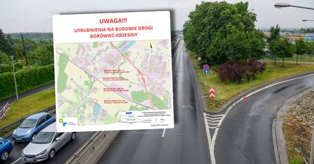 Chcą rozbudować drogę i wyciąć 150-letnie drzewa? Mieszkanka: nie pozwólmy