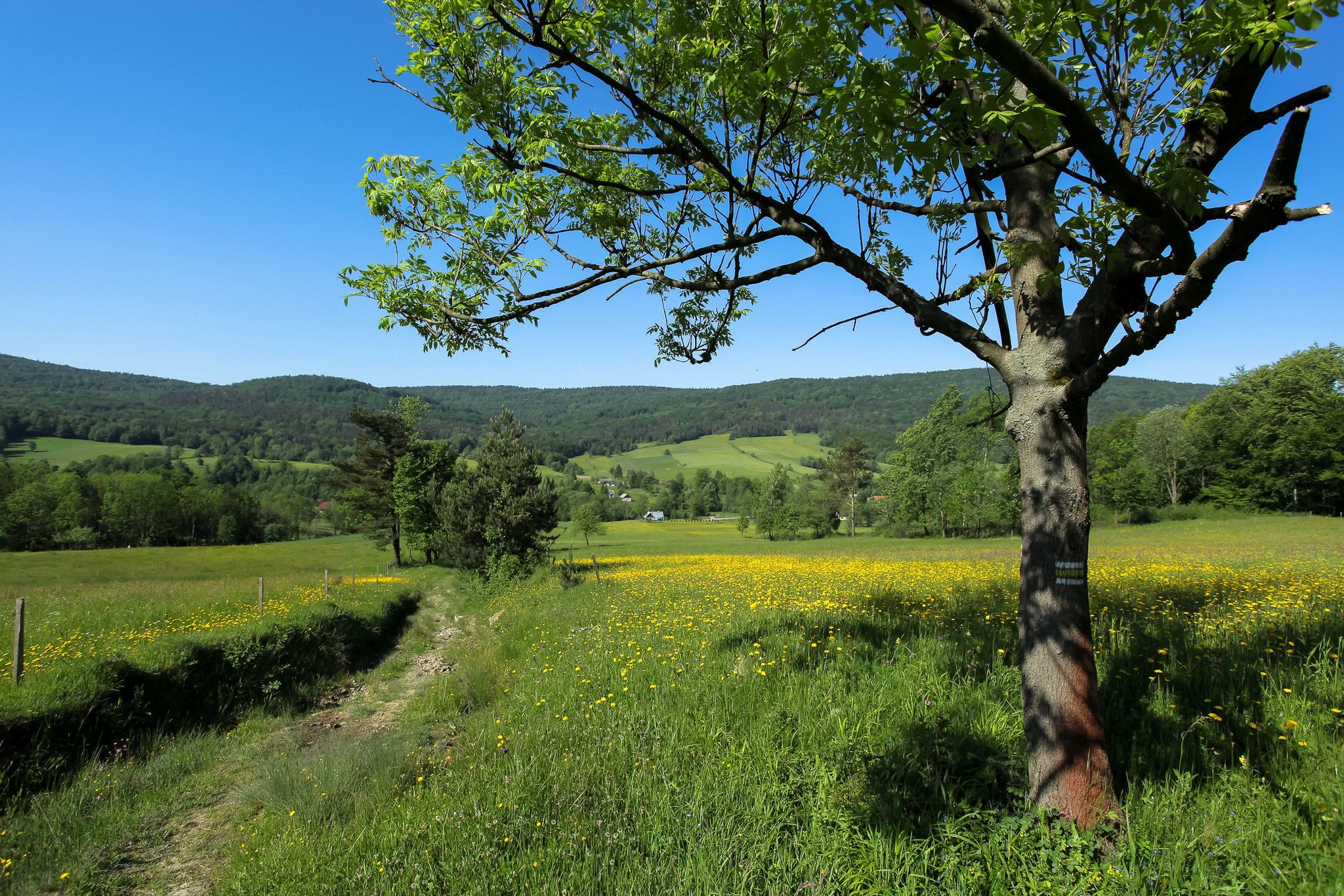 Magurski Park Narodowy