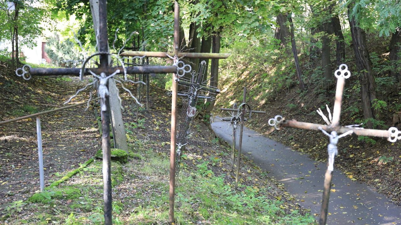 Kraków: Niezwykły cmentarz na obrzeżach miasta. Teraz to miejsce samo umiera