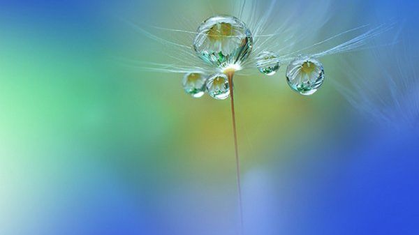 Makrofotografia z drugiej strony lustra 1