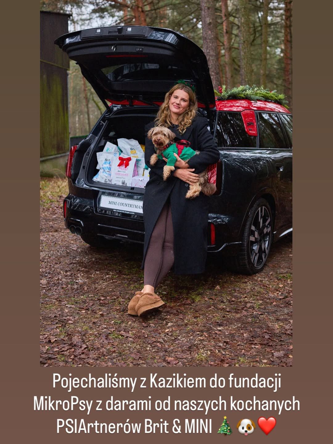 Grudzień Zofii Zborowskiej