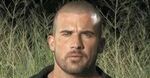 Polsat zarobił na "Prison break"