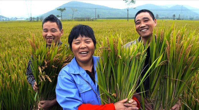 Podróż przez smaki Chin 4