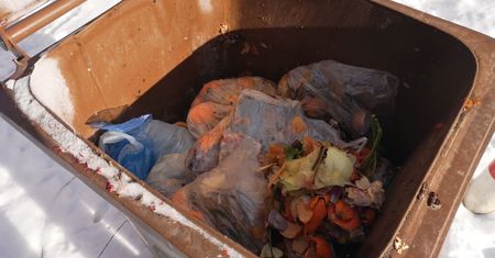 Jak segregować odpady? Wciąż mamy z tym problemy. Wstyd w dużych miastach