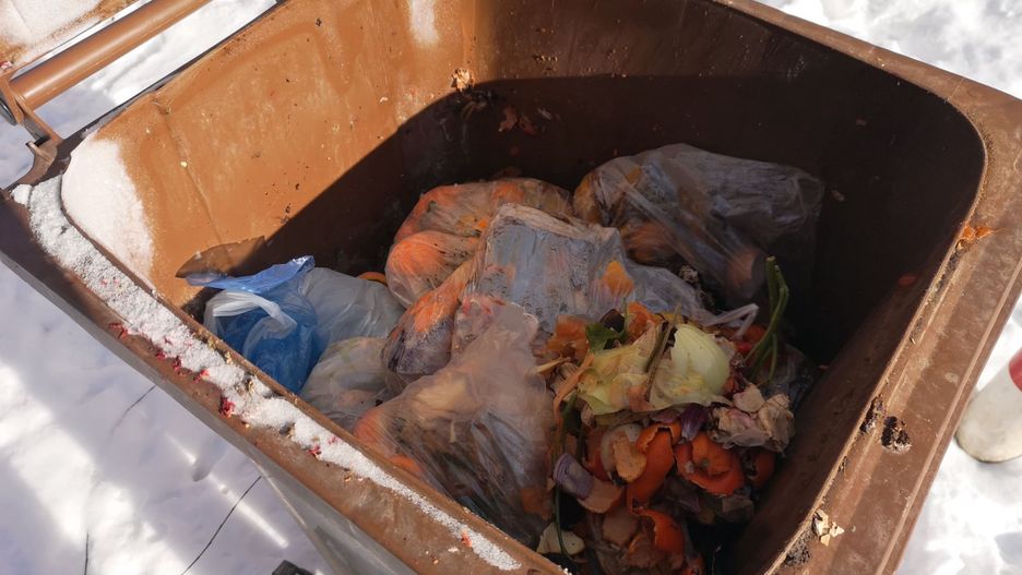 Polacy notorycznie wyrzucają bioodpady w plastikowych workach - to błąd.