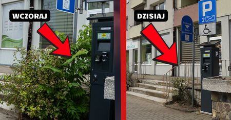 Zarośnięta ulica Spacerowa w Pile doczekała się porządków. Czekamy na więcej!