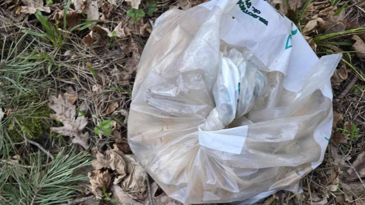 Makabryczne odkrycie w okolicach Choroszczy.