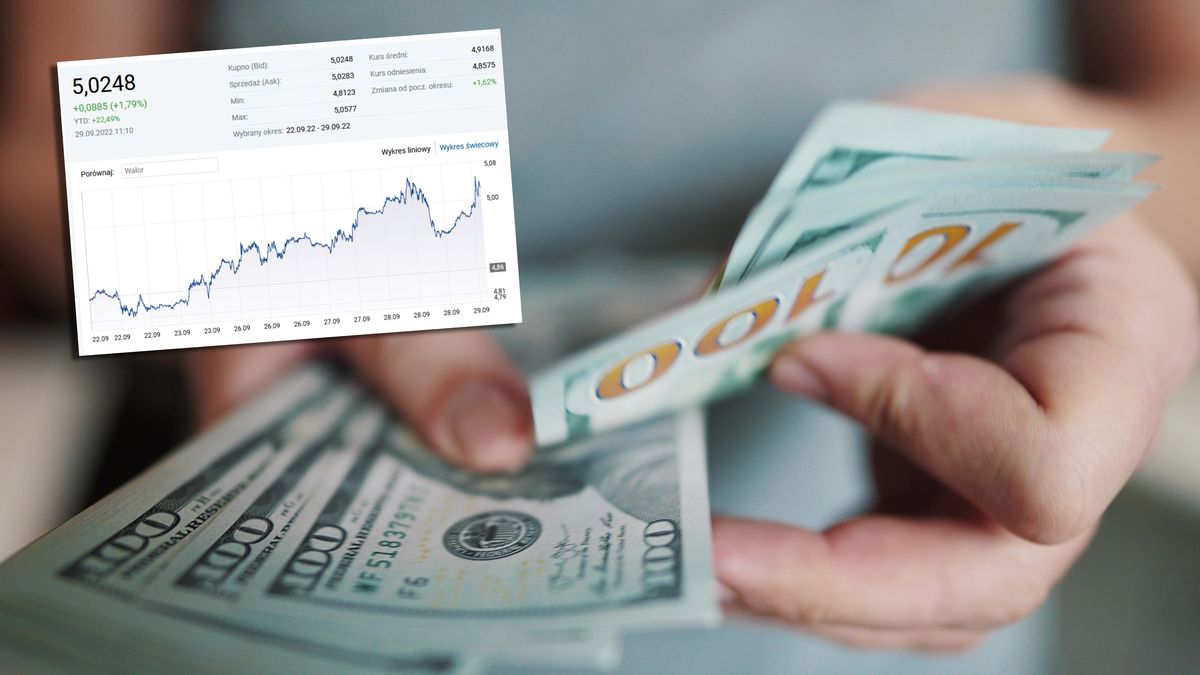 Tylko w tydzień dolar zyskał do złotego 3 proc.