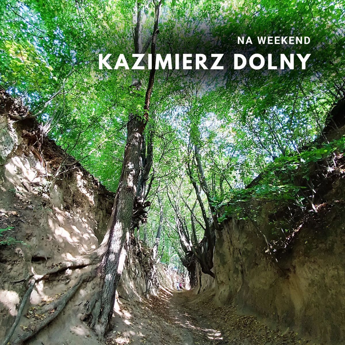 Kazimierz Dolny na weekend!