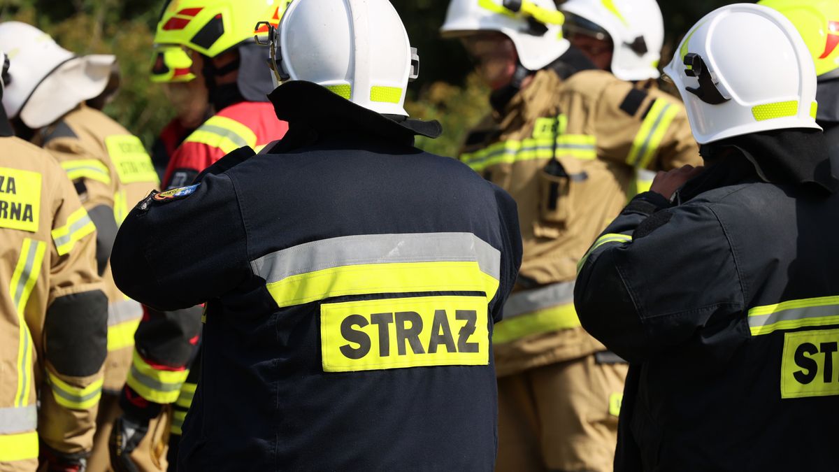 DAREK11
funkcjonariusz, straż, pożarna, samochód, nowy, mundur, wypadek, kolizja, katastrofa, dachowanie, zderzenia, ochotnicza straż pożarna, wycinanie, straży pożarnej, osp, alarmowo, na sygnale, polska, pomoc, czerwony, strażak, kask, ludzie, woda, piana, dym, alarmowa, szybko, pożar, ludzi, strażacy, brygada, syrena, alarm, zdarzenia, akcja, awaryjny, ratowanie, palacz