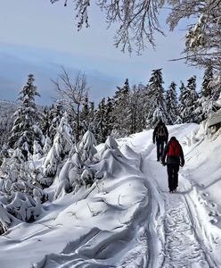 Pogoda długoterminowa na zimę 2021. Czeka nas zima stulecia?