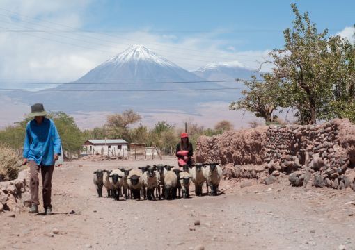 Miasteczko na pustyni