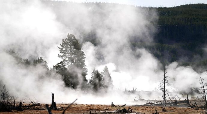 Yellowstone: bomba zegarowa