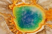 Yellowstone: bomba zegarowa