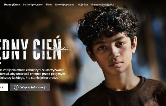 Netflix z najwierniejszymi abonentami. Rezygnacja zwykle po 2 latach