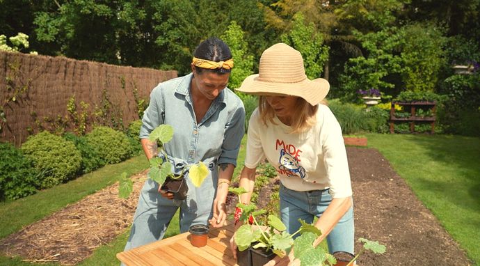 W ogródku warzywnym Julie