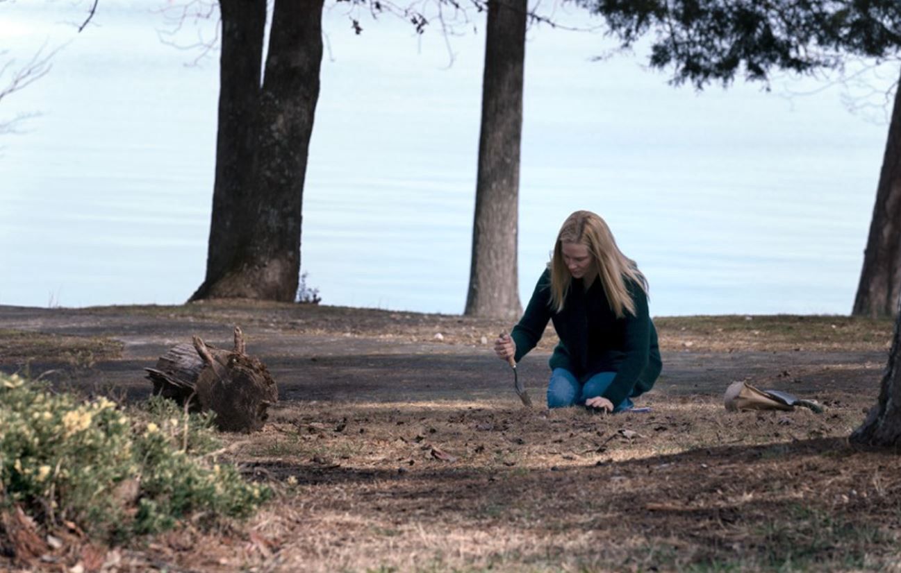 Ozark - reż. Bill Dubuque, Mark Williams, prod. USA