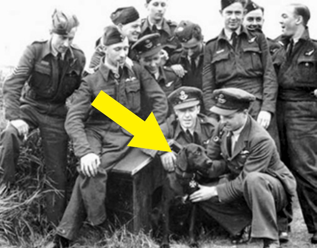 Nigger z pilotami 106. eskadry RAF. Guy Gibson kuca po prawej z fajką w zębach