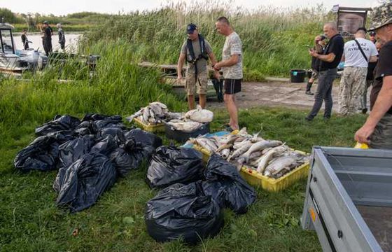 Rekultywacja Odry zajmie przynajmniej pięć lat