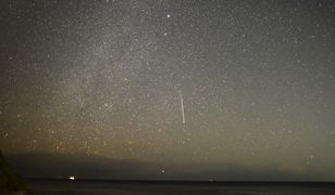 Eta Akwarydy robi wrażenie