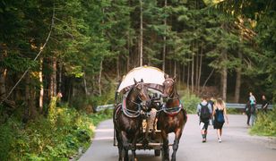 Policja przekazała, że będzie odholowywać samochody, które kierowcy zostawią poza wyznaczonymi parkingami