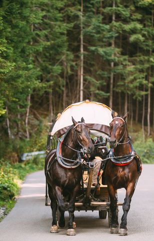 Policja przekazała, że będzie odholowywać samochody, które kierowcy zostawią poza wyznaczonymi parkingami