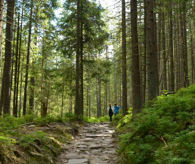 Warto pamiętać o zabraniu ze sobą prowiantu i napojów, gdyż punkty gastronomiczne będą nieczynne