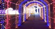 Lublin: Lumina Park zaprasza mieszkańców. Magiczna podróż bez wyjeżdżania z miasta