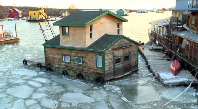 Życie na tafli lodu