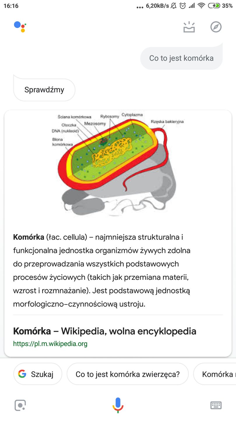 Asystent przeczyta na głos pierwsze zdanie definicji