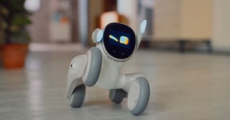 Loona wygląda jak z filmu Disneya. I przyświeca jej cel