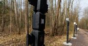 Białystok: Pojawiło się 10 tajemniczych totemów. Łączą muzykę z naturą. Niestety ktoś postanowił je zniszczyć