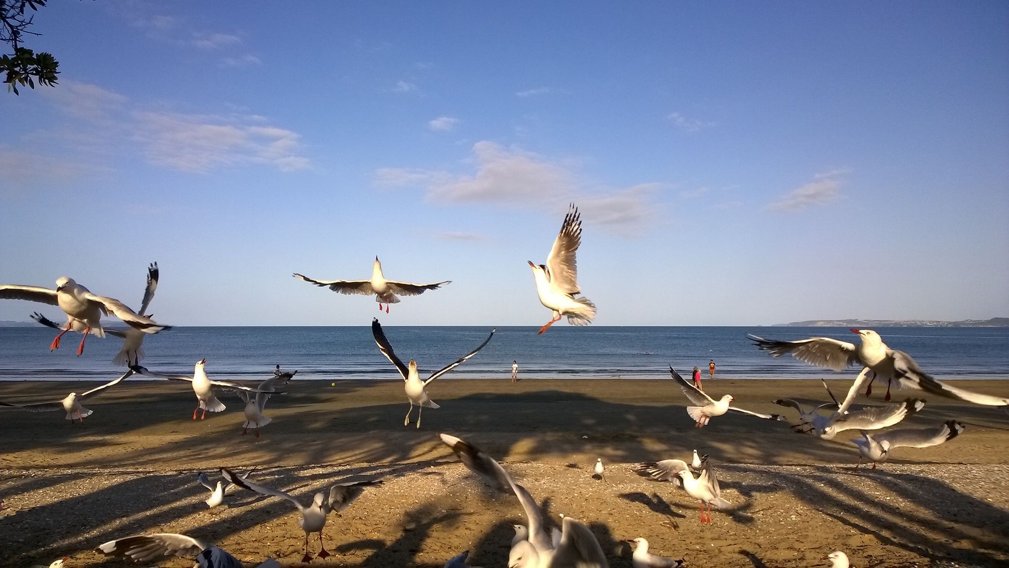 Tak fotografuje się Lumiami! 5