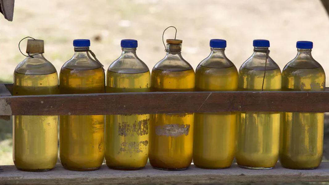 Ten olej rozprawi się z cholesterolem. Jest paliwem dla mózgu, chroni przed demencją