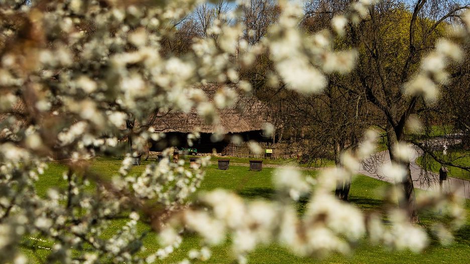 Chorzów. Górnośląski Park Etnograficzny zaprasza w podróż po śląskich i zagłębiowskich wsiach.