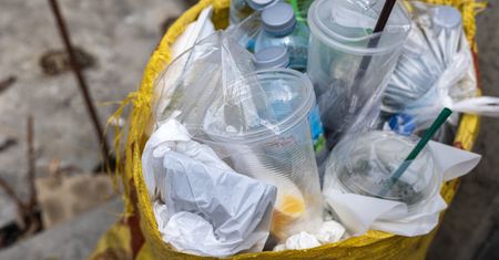 Turyści podrzucają śmieci. Zakopane płaci za to fortunę