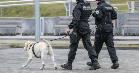 Komendant policji w Sępólnie zwraca się do samorządu. Chodzi o zakup psa
