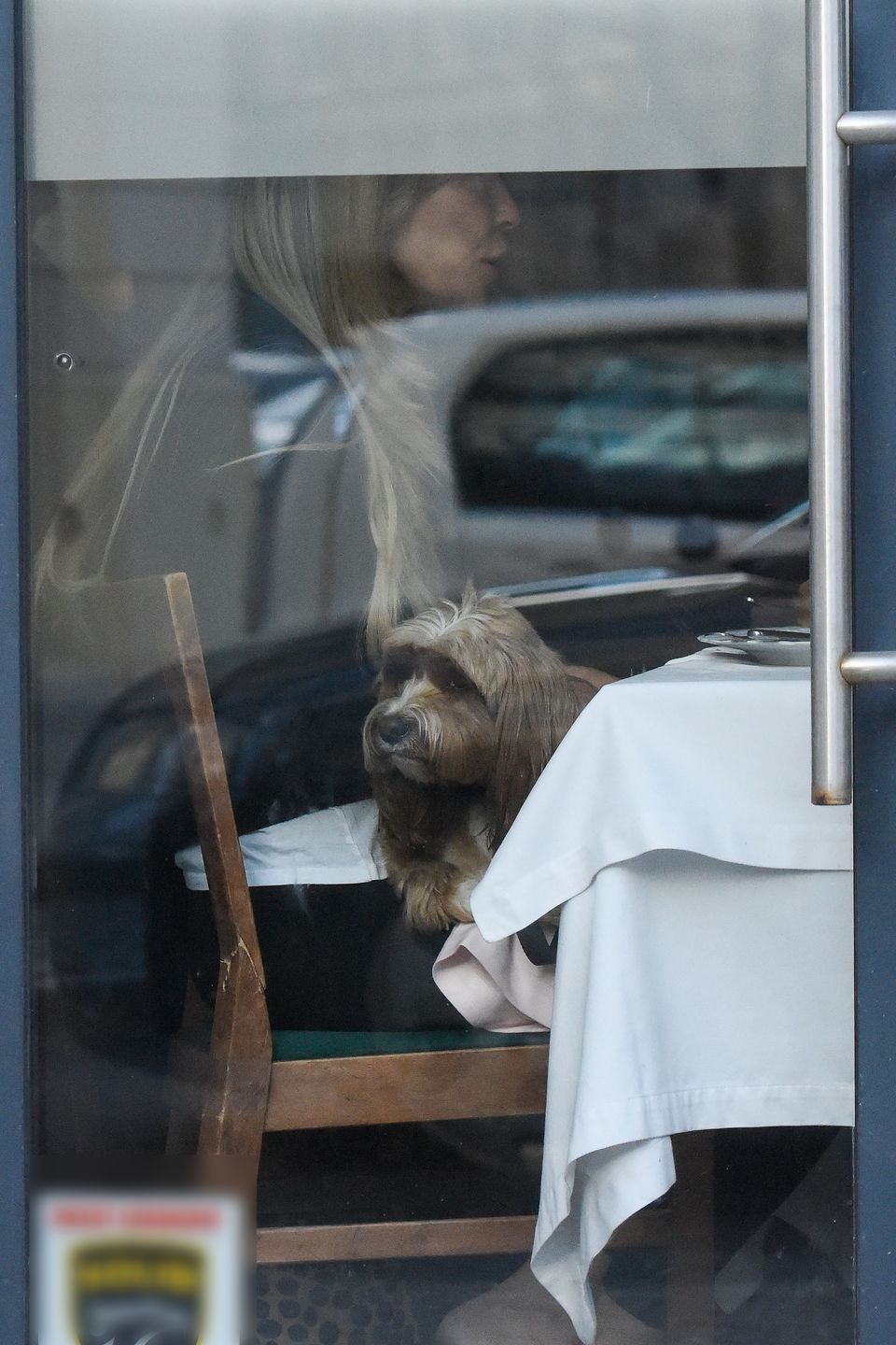 Joanna Przetakiewicz paraduje po mieście z torebką z aligatora