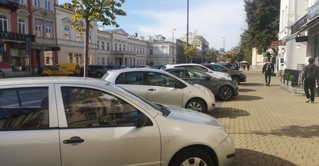 Lublin. Drzewa i krzewy zamiast miejsc parkingowych na Krakowskim Przedmieściu