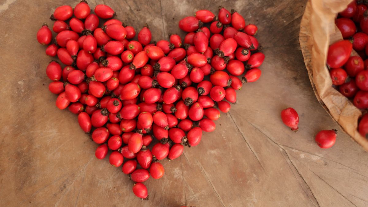 Owoce dzikiej róży wzmacniają serce