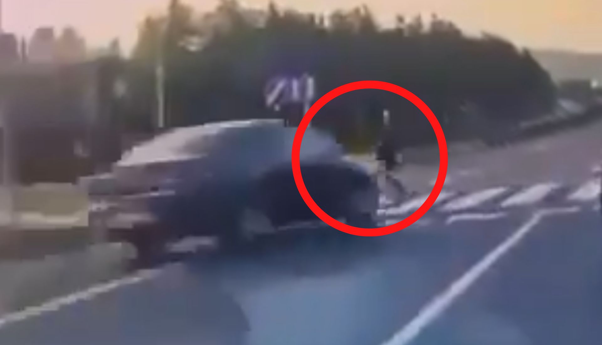 Tygodnie czekania i wielki finał. Leśnicy pokazali nagranie
