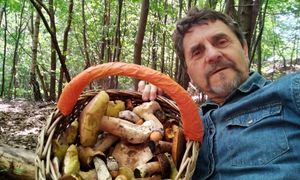 Pełen kosz borowików. Pokazał zdjęcia. "Letni wysyp grzybów"