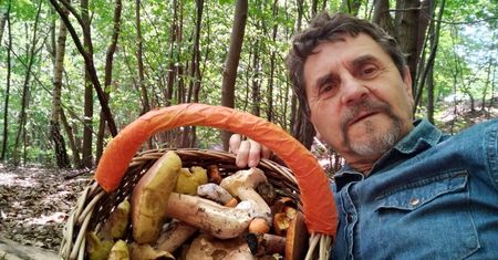 Pełen kosz borowików. Pokazał zdjęcia. "Letni wysyp grzybów"