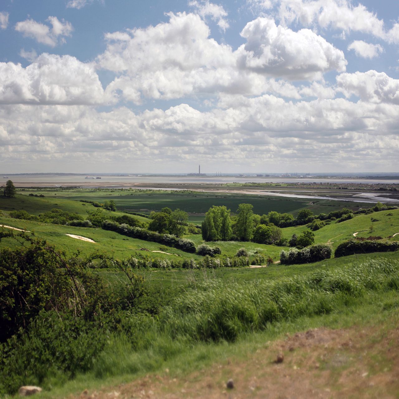 Ujście Tamizy w Hadleigh Country Park, widziane przez ogromną camerę obcurę 2