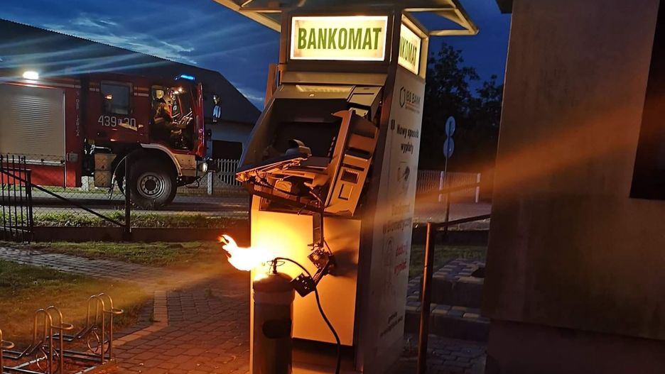 Na miejsce przyjechali strażacy. Pożar został szybko ugaszony