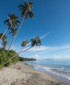 Wyspy Salomona. Pierwszy przypadek zakażenia koronawirusem